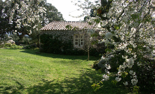 Li-Pireddi-esterno-alloggio-Rosmarino